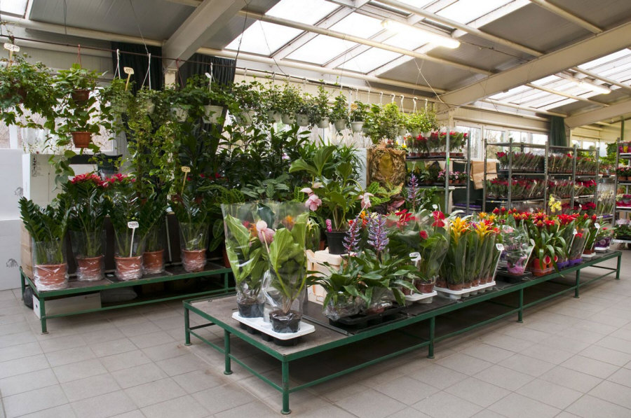 KROKUS Оптова подарунок прикраси штучні квіти вирізати стрічки флористичні вироби Білосток 01