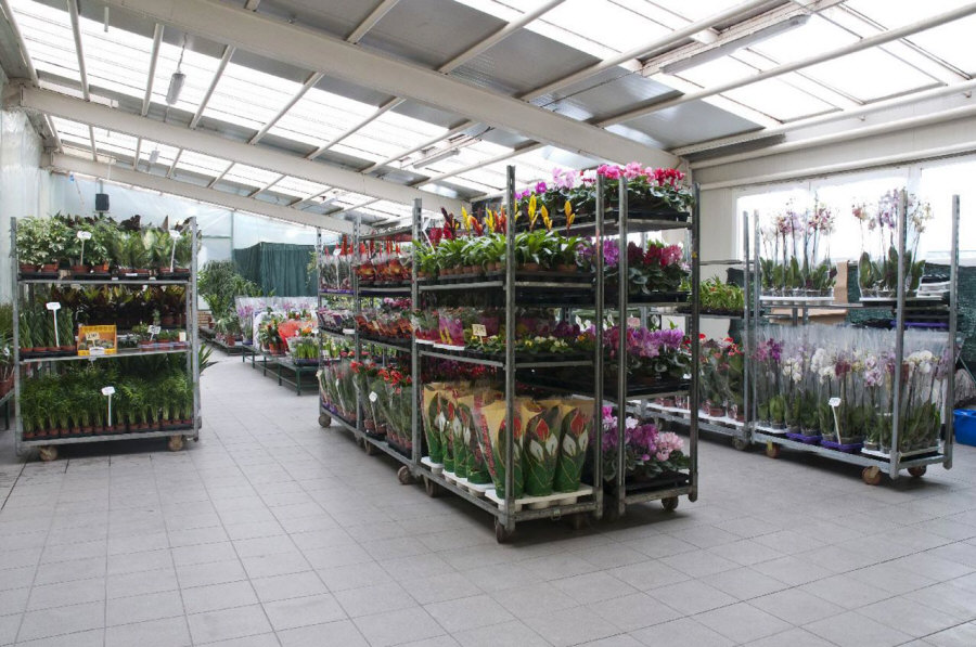 KROKUS Оптова подарунок прикраси штучні квіти вирізати стрічки флористичні вироби Білосток 02