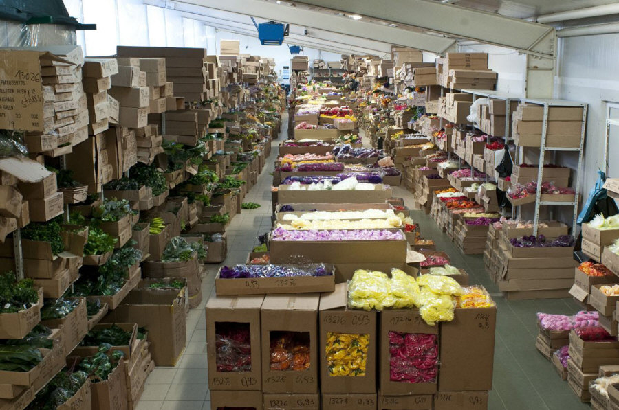 KROKUS Оптова подарунок прикраси штучні квіти вирізати стрічки флористичні вироби Білосток 02