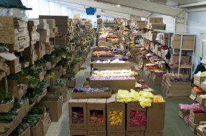 Оптовий склад KROKUS 01